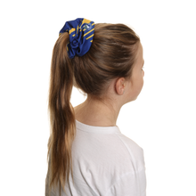 Load image into Gallery viewer, Parramatta Eels Scrunchie
