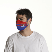 Load image into Gallery viewer, Newcastle Knights Face Mask - The Mask Life. 
