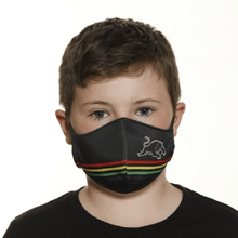 Load image into Gallery viewer, Penrith Panthers Face Mask - The Mask Life. 
